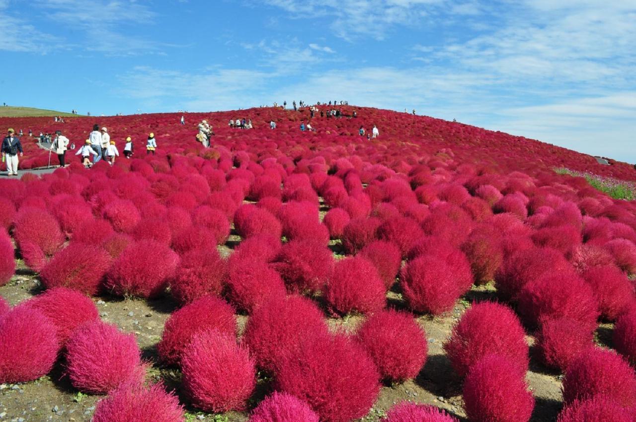 Hotel Okukujikan Daigo المظهر الخارجي الصورة